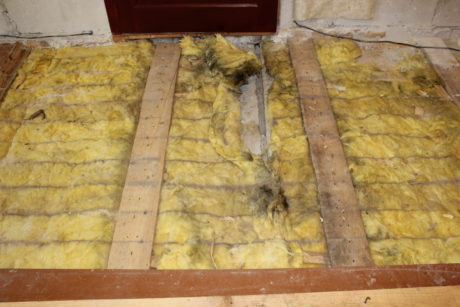 The mold under the floor boards in the living room (the crack in the concrete is the culprit)